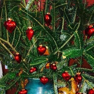 Meet your Posher, Cathy